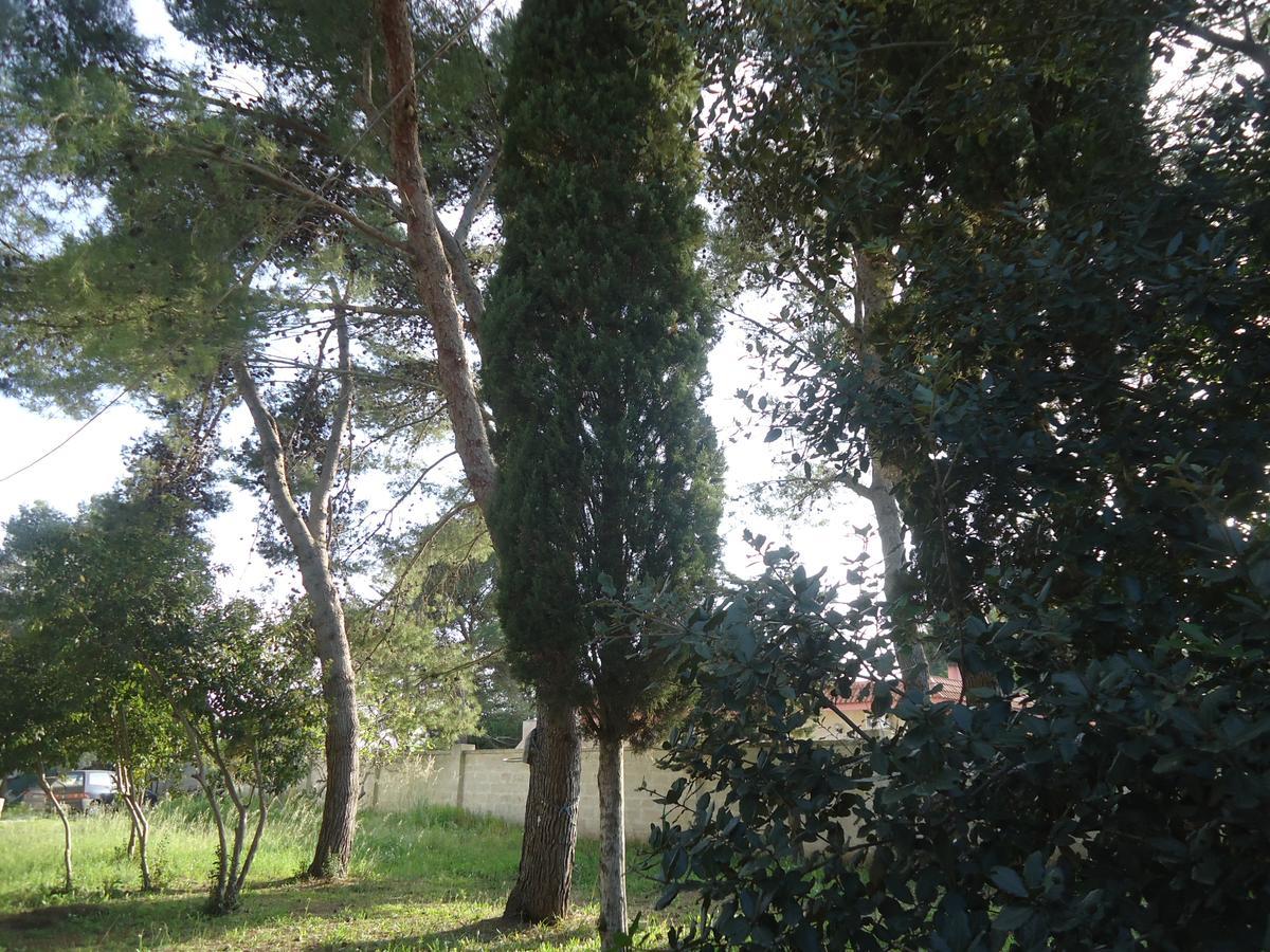 Antico Casale Il Sambuco Acomodação com café da manhã Manduria Exterior foto